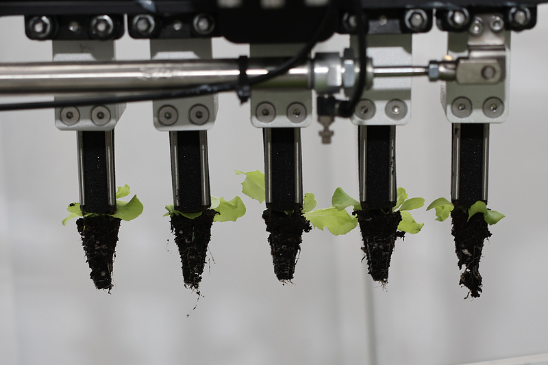 ????? ??? ???? ????? ????? ???????? ?? ???????