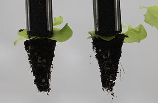 ????? ??? ???? ????? ????? ???????? ?? ???????