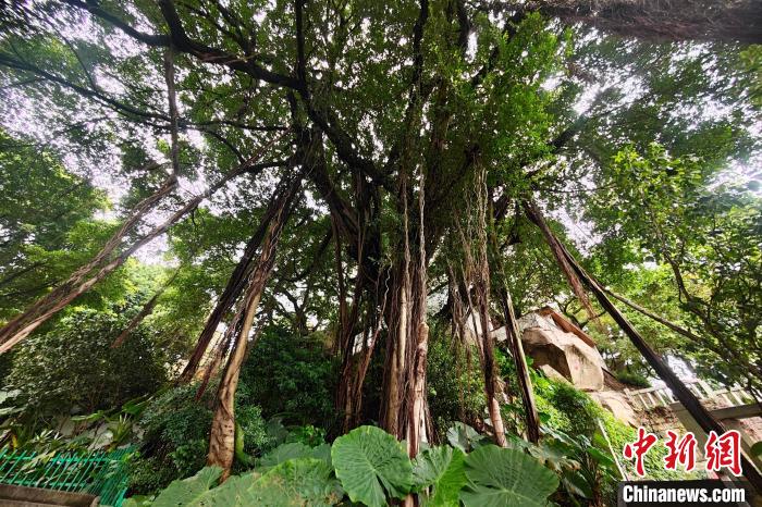 ???? ?????? ????? ????? ???? ?????? ???????