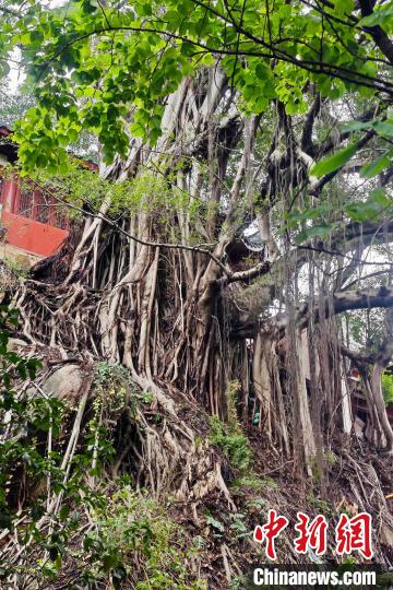 ???? ?????? ????? ????? ???? ?????? ???????