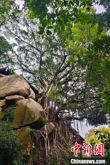 ???? ?????? ????? ????? ???? ?????? ???????