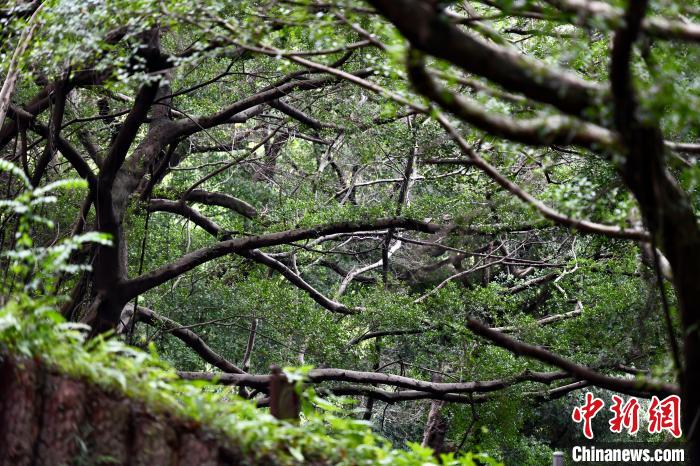 ???? ?????? ????? ????? ???? ?????? ???????