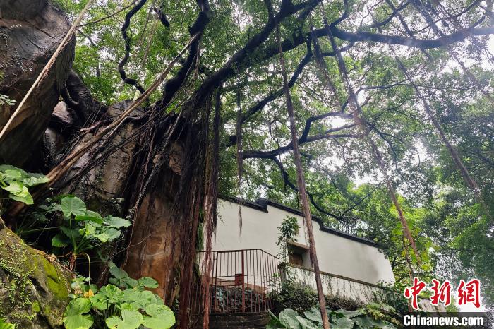 ???? ?????? ????? ????? ???? ?????? ???????