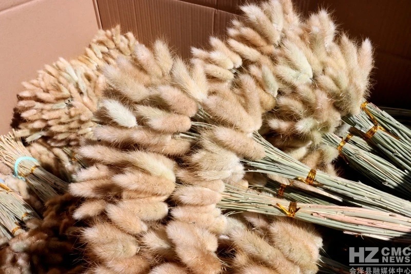 ??? ???? ?? ??????? ????? ??? ???? ?????? ??????? ?? ?????? ????? ???????