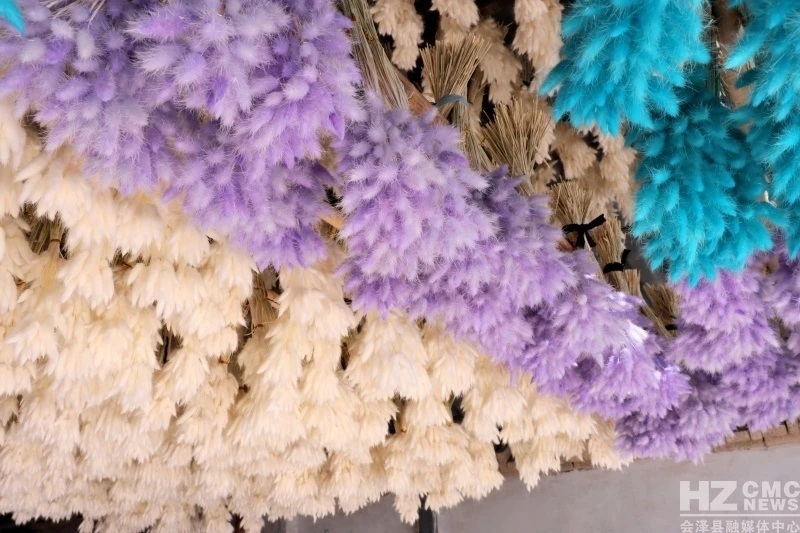 ??? ???? ?? ??????? ????? ??? ???? ?????? ??????? ?? ?????? ????? ???????