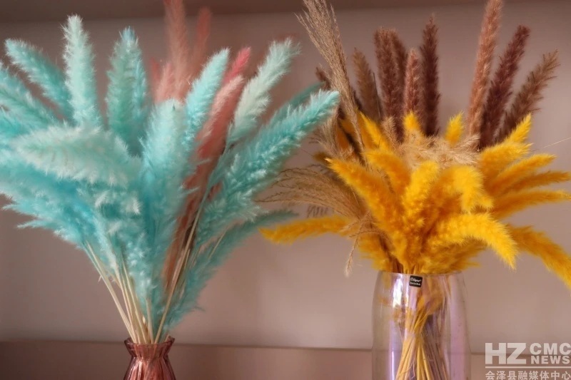 ??? ???? ?? ??????? ????? ??? ???? ?????? ??????? ?? ?????? ????? ???????