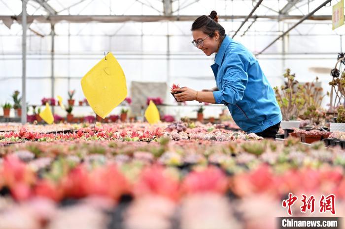 ?????? ???????? ???????? ????? ?? ??????