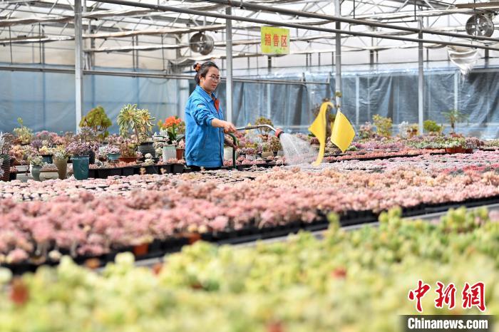 ?????? ???????? ???????? ????? ?? ??????