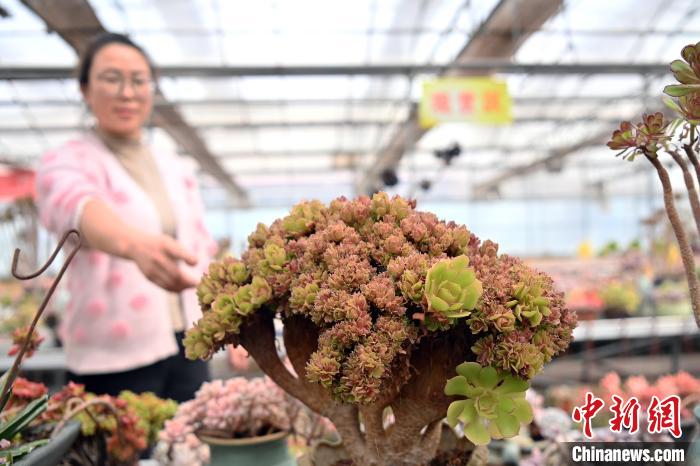 ?????? ???????? ???????? ????? ?? ??????