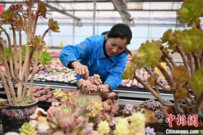 ?????? ???????? ???????? ????? ?? ??????