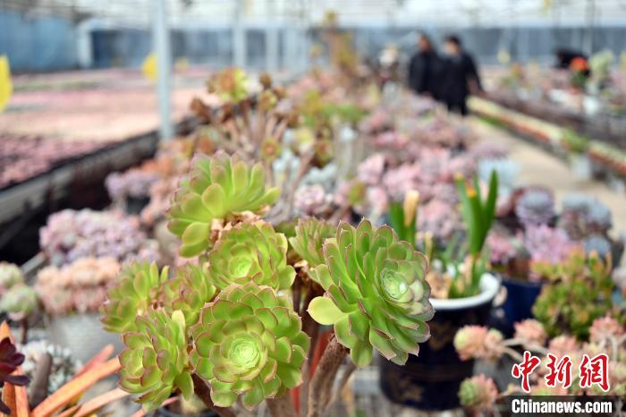 ?????? ???????? ???????? ????? ?? ??????