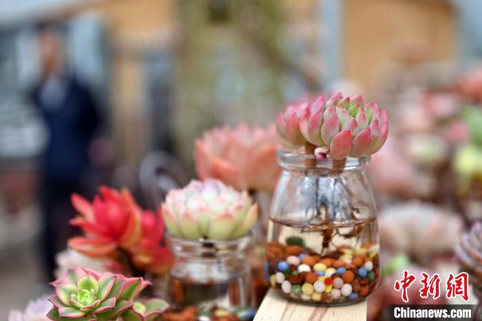 ?????? ???????? ???????? ????? ?? ??????