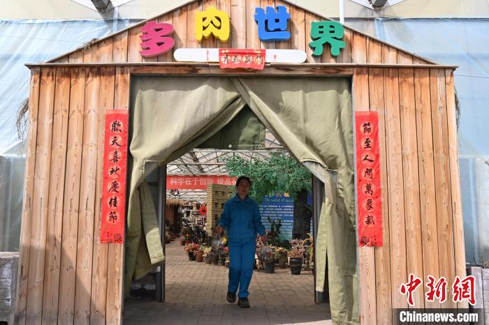 ?????? ???????? ???????? ????? ?? ??????