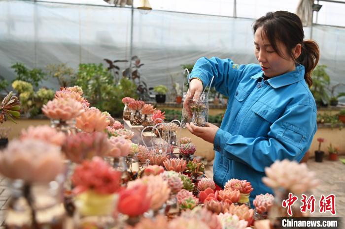 ?????? ???????? ???????? ????? ?? ??????