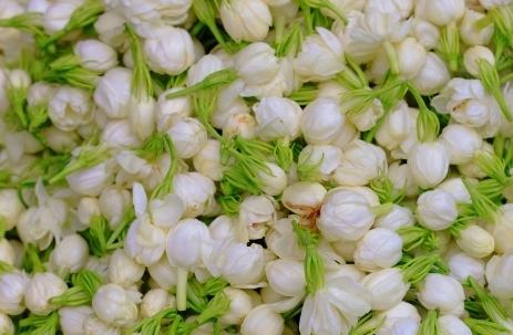 "??? ??????" ?? ??????? .. ????? ???? ??? ???? ??????