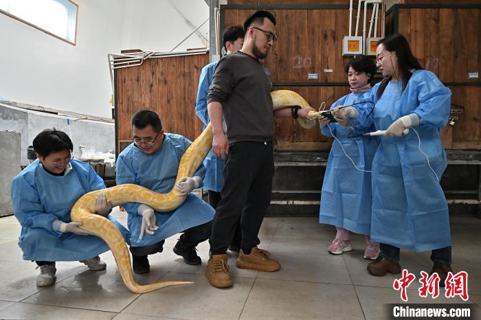 ??????? ???? ???? ??????? ?? ??????? ????????? ????????