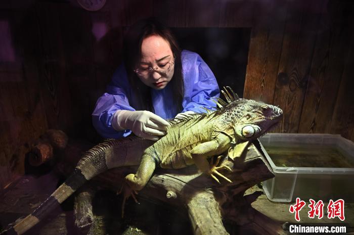 ??????? ???? ???? ??????? ?? ??????? ????????? ????????