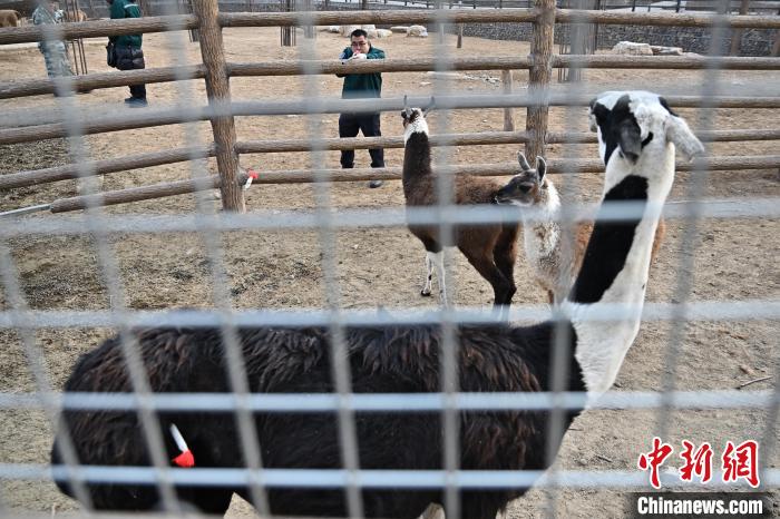 ??????? ???? ???? ??????? ?? ??????? ????????? ????????