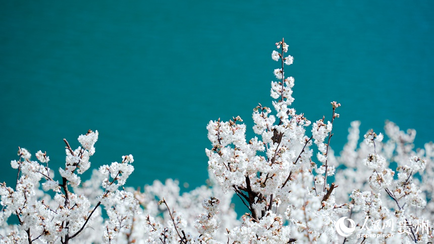 ????? ????? ????? ?? ??????