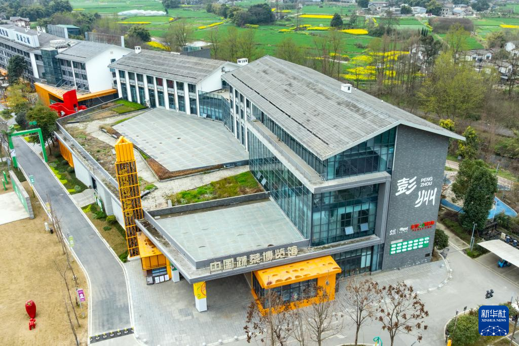 ????? ?????? ???? ?????