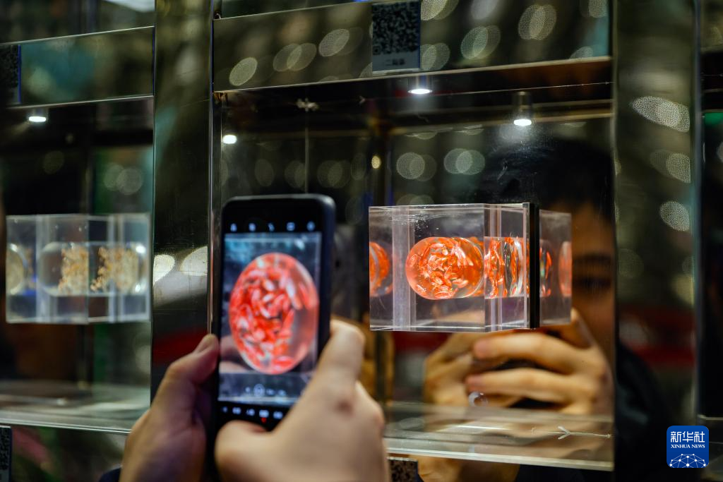 ????? ?????? ???? ?????