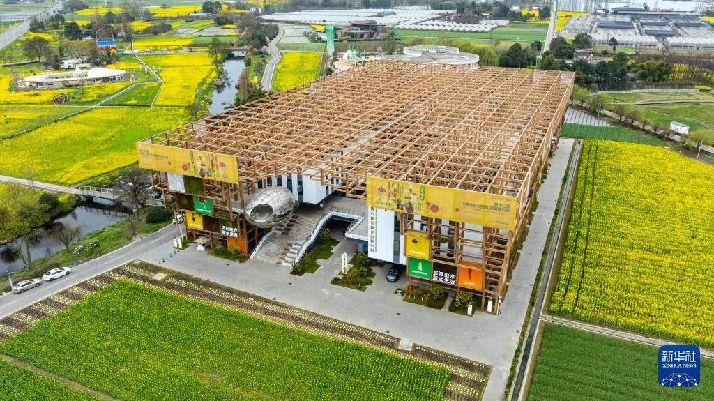 ????? ?????? ???? ?????