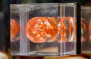 ????? ?????? ???? ?????" ????? ???????? ?? ??? ?????"