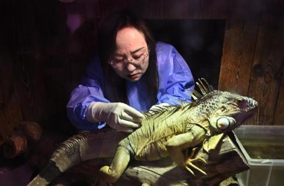 ??????? ???? ???? ??????? ?? ??????? ????????? ????????