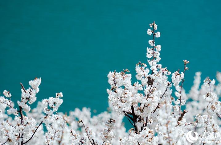 ????? ????? ????? ?? ??????