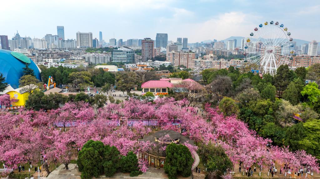 ??????: ????? ???? ???? ????? ?? ????? ??????? ????? ?????? ?????? ???? ???? ?????