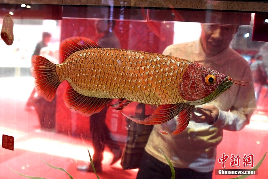 ????? ?? ??? ??? ?????? ?????