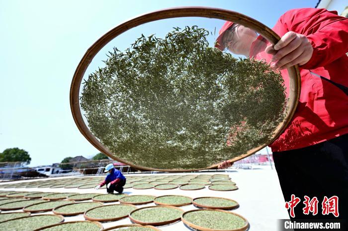 ??????? ?????? .. ????? ????? ?????? ??????