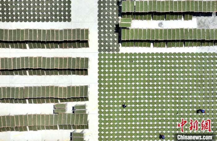 ??????? ?????? .. ????? ????? ?????? ??????