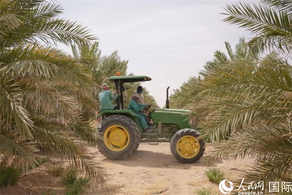 ???? ????? ???? ????? ?? ????? ????: