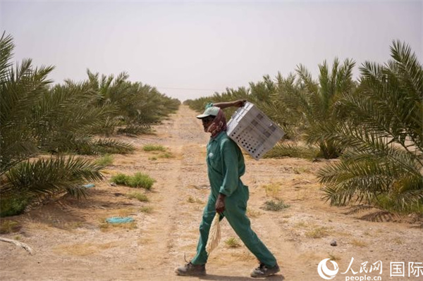 ???? ????? ???? ????? ?? ????? ????: