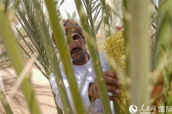 ???? ????? ???? ????? ?? ????? ????: