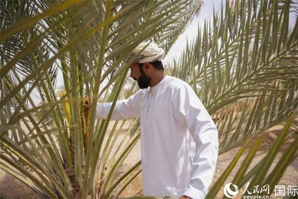 ???? ????? ???? ????? ?? ????? ????: