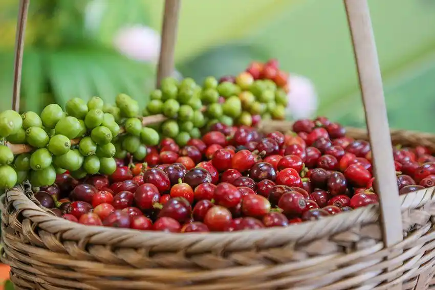 ??? ???? ???? ?????? ????? ?? ??????