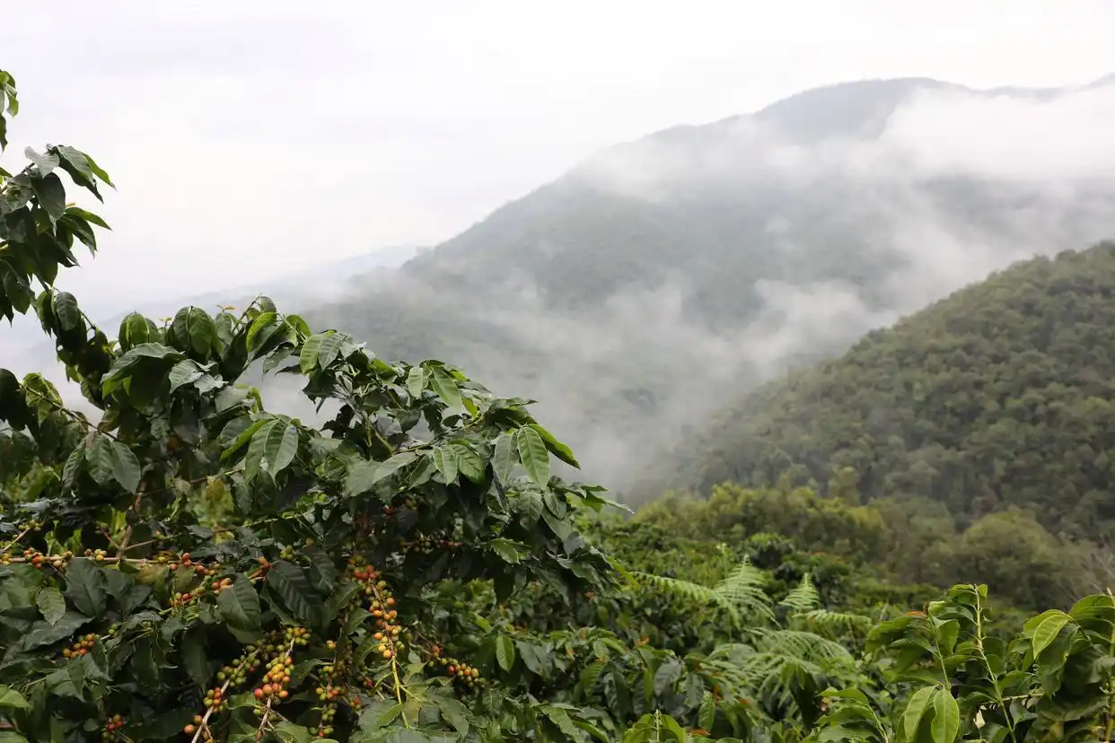 ????? ???? ???? ?????? ?? ????