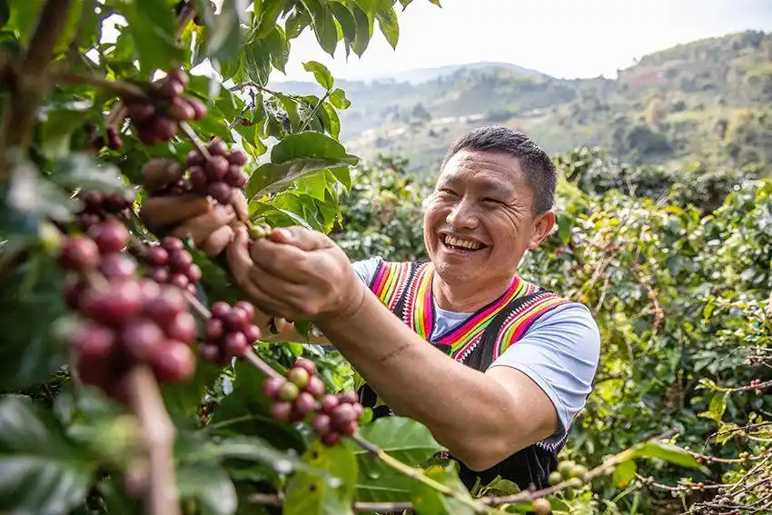 ????? ???? ???? ?? ??????