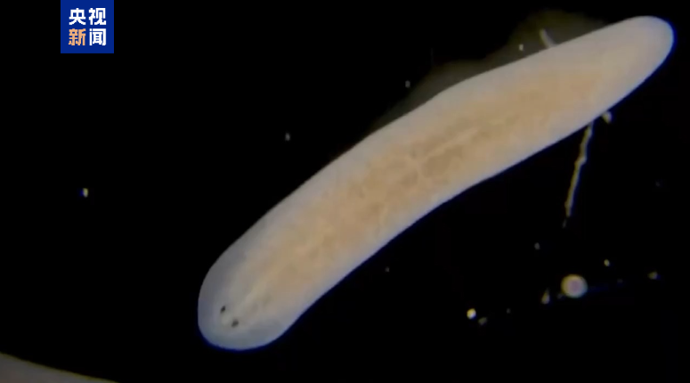 ???? ?????? ??????? ????? ????? ???? ?????????? ??? ??????? ??????? ????????