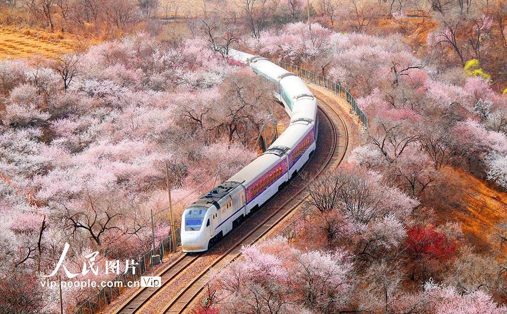 ????: ?????? ??? ??? ??????