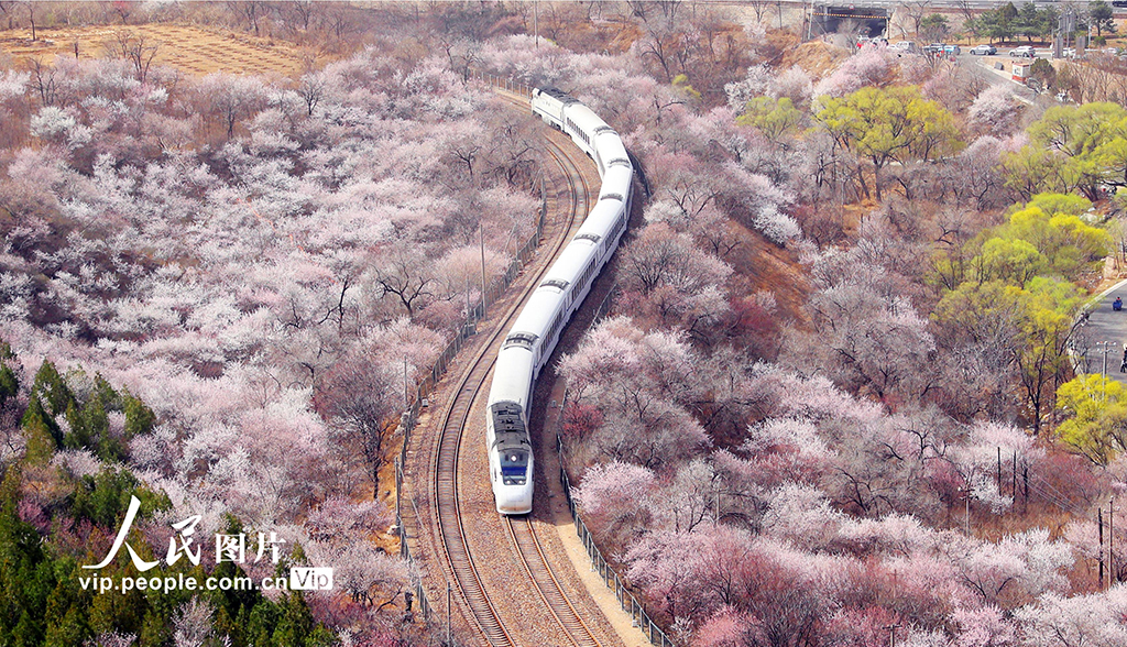 ????: ?????? ??? ??? ??????