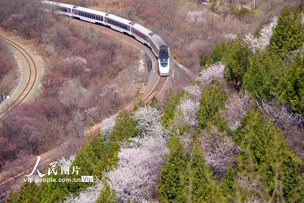 ????: ?????? ??? ??? ??????