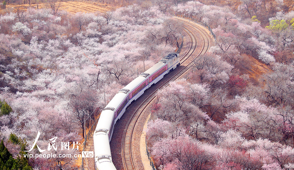 ????: ?????? ??? ??? ??????