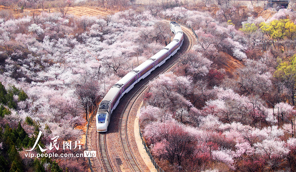 ????: ?????? ??? ??? ??????