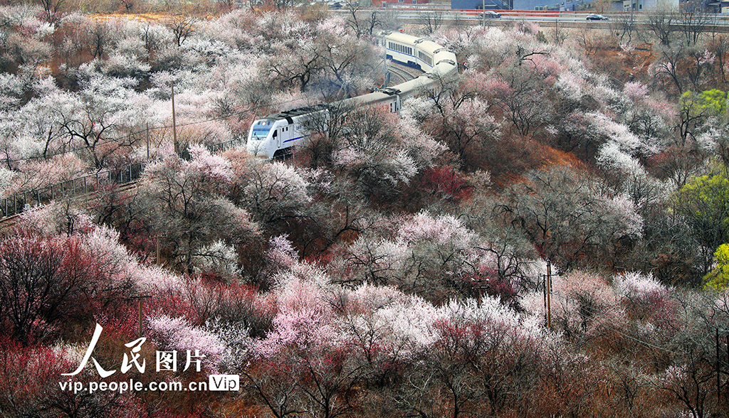 ????: ?????? ??? ??? ??????