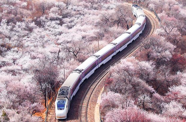 ????: ?????? ??? ??? ??????