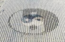 ??????? " ??? ??? ??? ???????" .. ???? ?? 30 ??? ??? ????? ????? ??? ??? ?? ??????