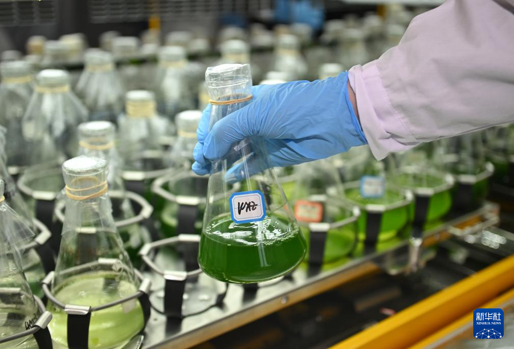 ????? ?????? ?????? ?? ????? ???? ????? ??? ????? ???????? ??????? ???????